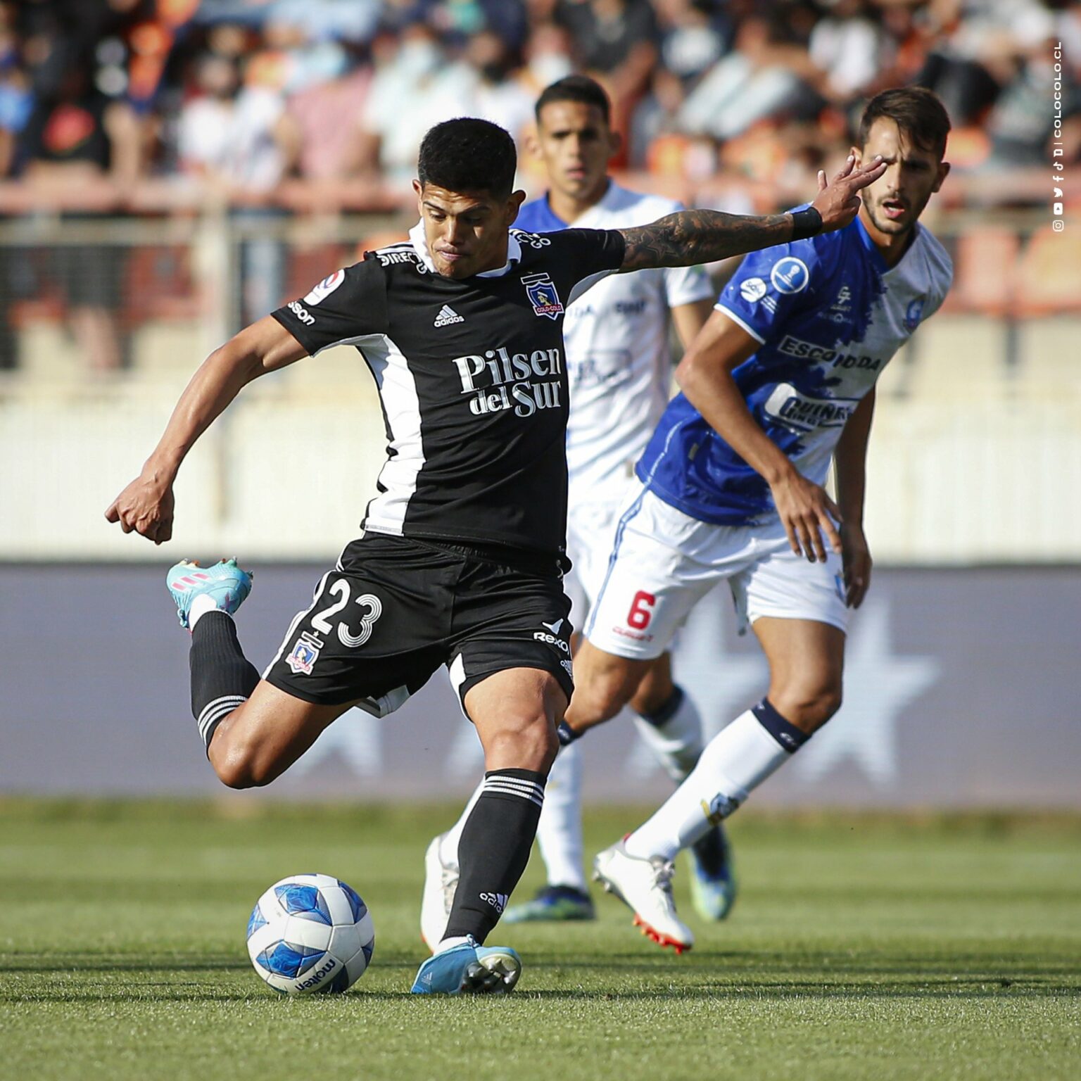 Camisa Reserva do Colo-Colo Temporada 2022 reto como cor predominante e o branco em detalhes. A gola polo, as três listras nos ombros | Tevo Sports