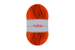 NUBE FAMILIA