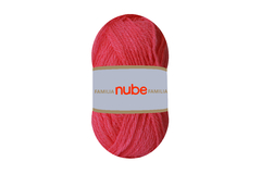 NUBE FAMILIA en internet