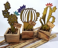 Cactus Maceta