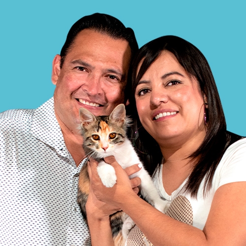 Jorge y Magda, fundadores de Lio's Cat, junto a su gatita Tigre, en su tienda especializada en productos para gatos en Puebla.