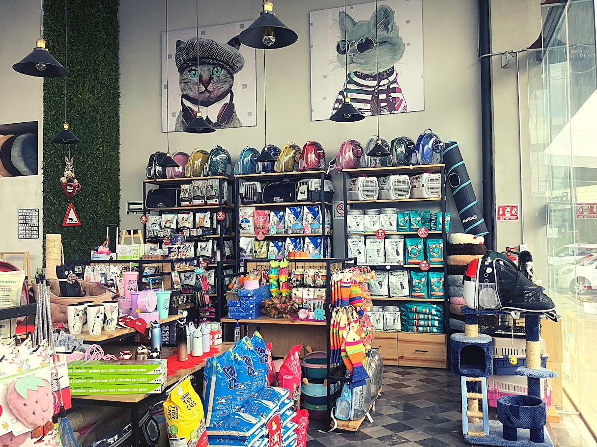 Vista del interior de Lio's Cat, tienda exclusiva para gatos en Puebla, mostrando una variedad de productos diseñados para el bienestar y cuidado de los felinos.