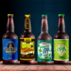 Combo Arte Beer mix 4 Cervejas