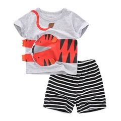 CONJUNTO TIGRE