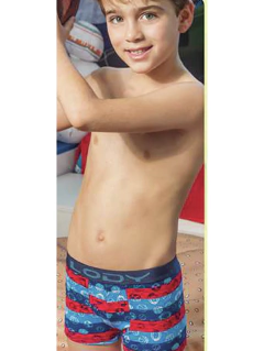 LM619-Boxer Alg.Lycra estampado