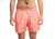 Girasol Rosa - comprar online