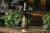 BEBIDA SIN ALCOHOL SABOR AMARETTO - comprar en línea