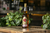 BEBIDA SIN ALCOHOL SABOR WHISKY - comprar en línea