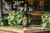 BEBIDA SIN ALCOHOL SABOR RON - ARKAY Mexico , bebidas sin alcohol, zero proof 