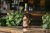 BEBIDA SIN ALCOHOL SABOR WHISKY JAPONES en internet