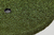 Putting Green Dual