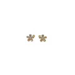 Broquel Flor