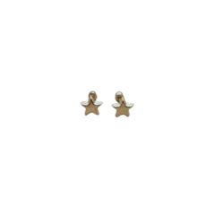 Broquel Estrella basic