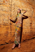 Vestido Rupestre - comprar online