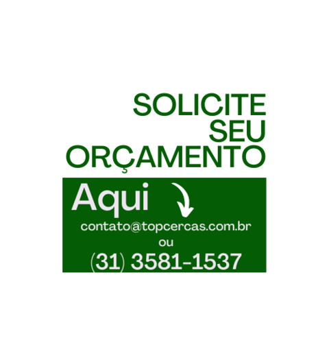 Carrossel 1