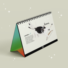 Calendário AMPARA Animal 2023