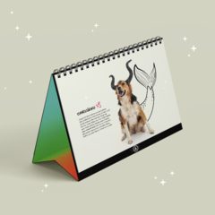 Calendário AMPARA Animal 2023 - comprar online