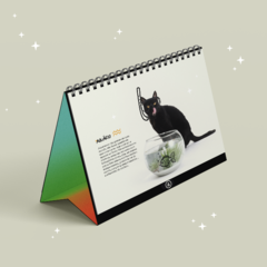 Calendário AMPARA Animal 2023 na internet
