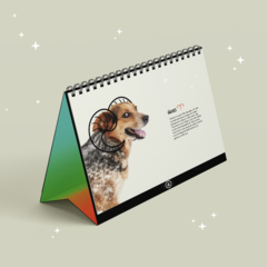 Calendário AMPARA Animal 2023 - loja online