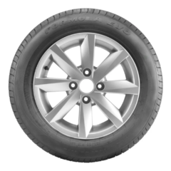 Formula Evo 195/65R15 en internet