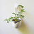 Huerta individual (x1u) + Gancho - comprar online