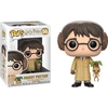 Harry Potter - Funko Pop! - Harry Potter - 55