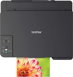 MULTIFUNCIONAL SISTEMA DE TINTA CONTINÚO BROTHER INK TANK DCPT220 en internet