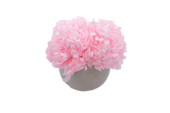 Composta Hortensia Esfera Grande - Damascena