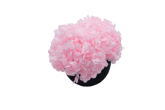 Composta Hortensia Esfera Grande - comprar en línea