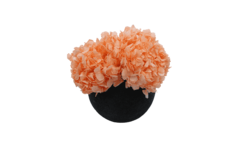 Composta Hortensia Esfera Grande en internet