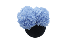 Composta Hortensia Esfera Grande - Damascena