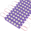 21598 MODULO 5 LEDS MORADO