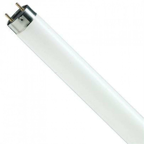Lot De 10 Lames/flamme Fluorescentes Top Line Taille 5 Série B-10 - Pêche (eaux Douces/salées)