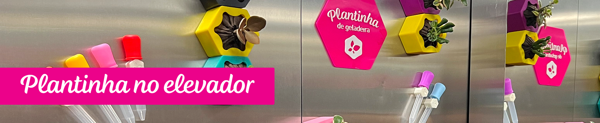 baixar catálogo