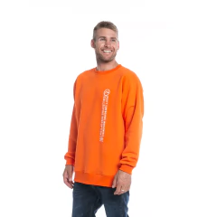 BUZO RUSTY SHIFT CREW - comprar online