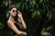 Ray Ban 1 - comprar online