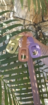Cinto Fino Feminino