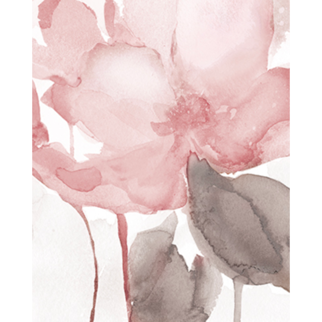 BLUSH BLOOM II Aqua Arte