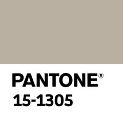 Rip Stop - Color 729 - Beige en internet