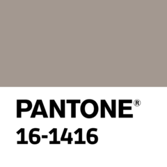 Canvas de 7 onzas Microesmerilado - Color Z79 - Beige en internet