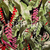 Tela Fibrana Rayon Estampada X Rollo 55 Mts Art3614 Lichytex - comprar online