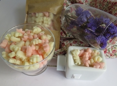 Wax Melts Flor de Cerejeira - comprar online