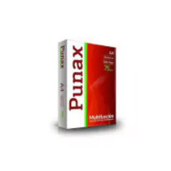 RESMA A4 PUNAX 75 GRS X500HS