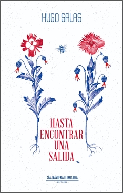 Hasta encontrar una salida - Hugo Salas
