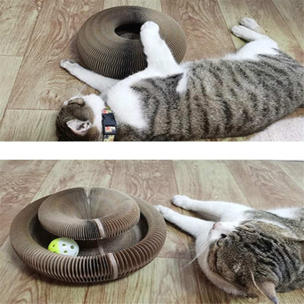 A tábua de arranhar gato de órgão mágico vem com uma bola de sino de  brinquedo arranhando gato arranhador interativo órgão mágico gato arranhão