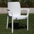 Silla Guinea - comprar online