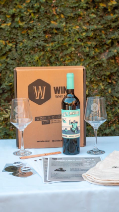 Wino a Ciegas