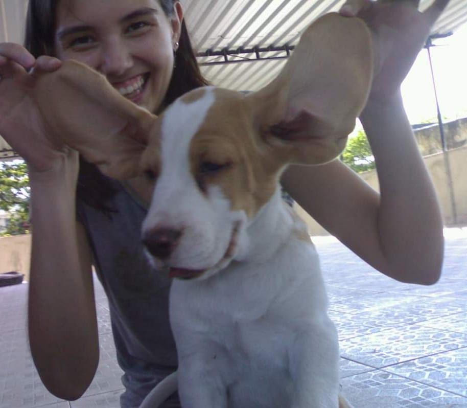 Mexerica e eu em dezembro de 2010