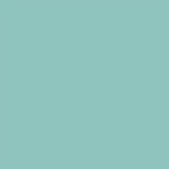INDIVIDUAL IMPERMEABLE DE PVC RECTANGULAR VERDE PASTEL LISO /31 x 45,5 cm / espesor 2,2 mm