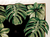 Almofadas Silvia Heringer Manhattanza em Veludo 7514 - comprar online
